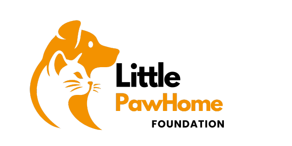 littlepawhome.org
